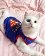 BREATHABLE SUPERMAN CAT VEST!